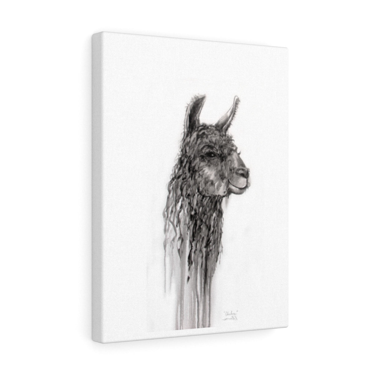 CHARLENE Llama - Art Canvas