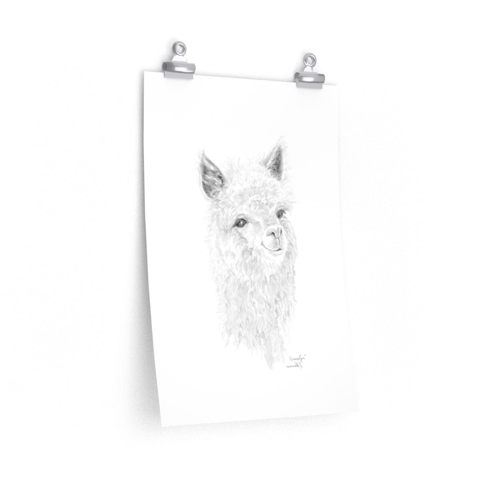 Gracelyn Llama- Art Paper Print