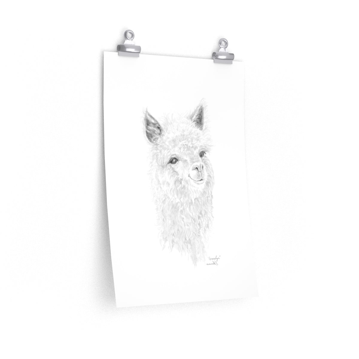Gracelyn Llama- Art Paper Print