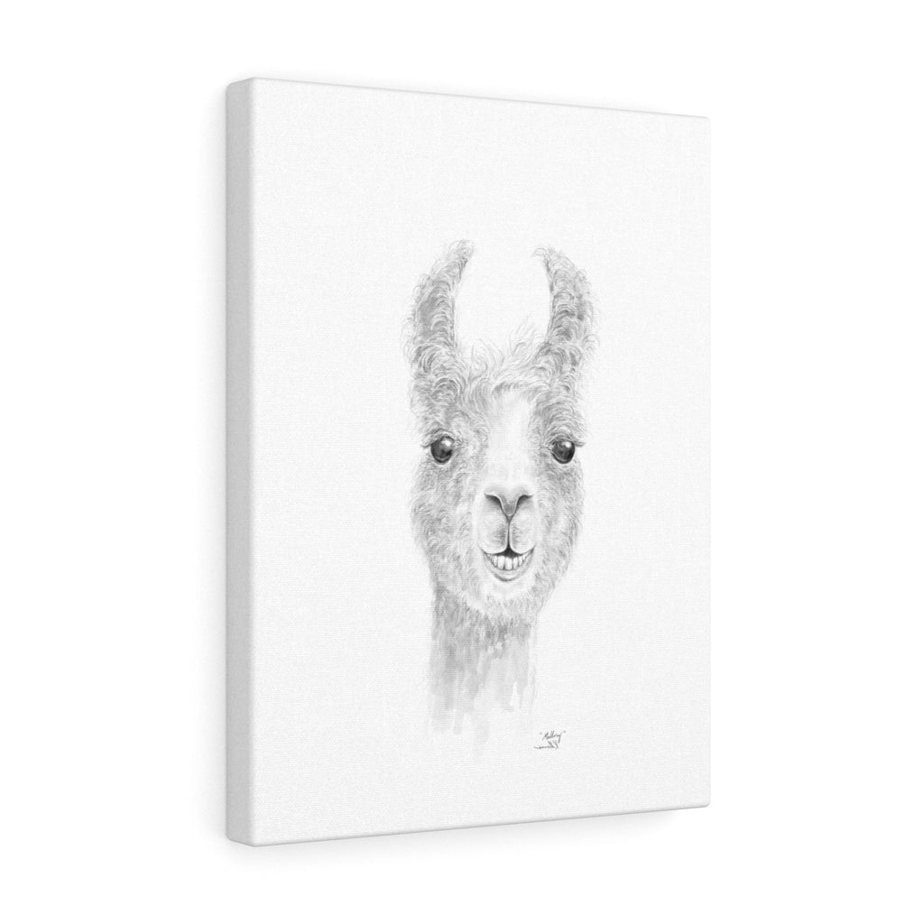 MALLORY Llama - Art Canvas