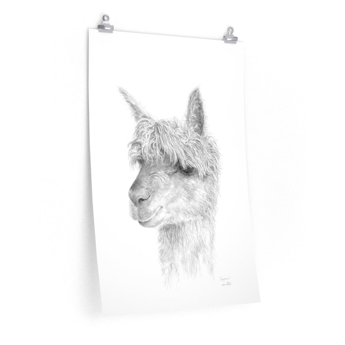 JAZOARA Llama- Art Paper Print
