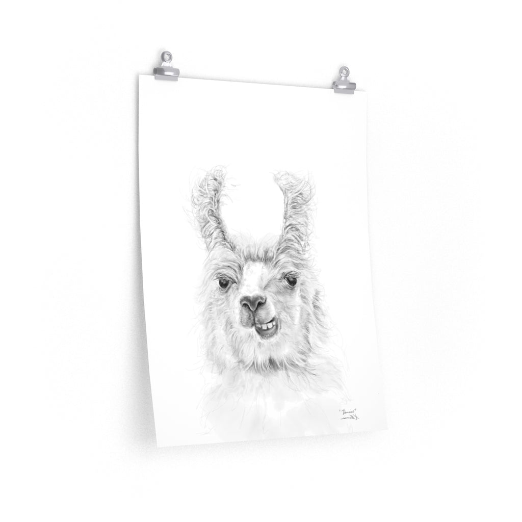 DENNIS Llama- Art Paper Print