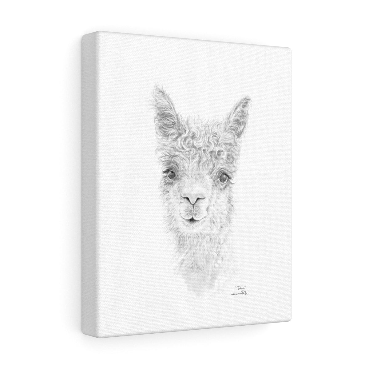 DARA llama- Art Canvas