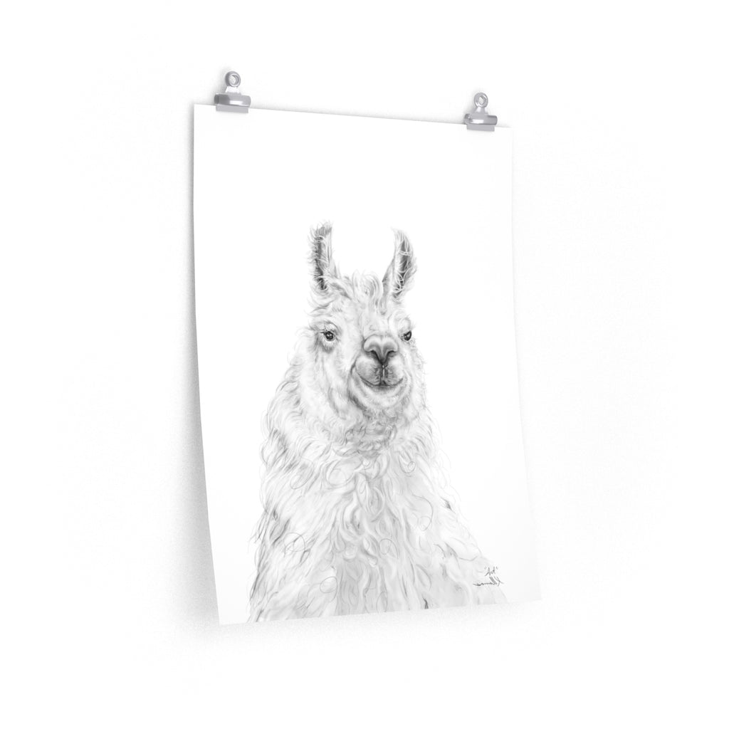 ART Llama- Art Paper Print