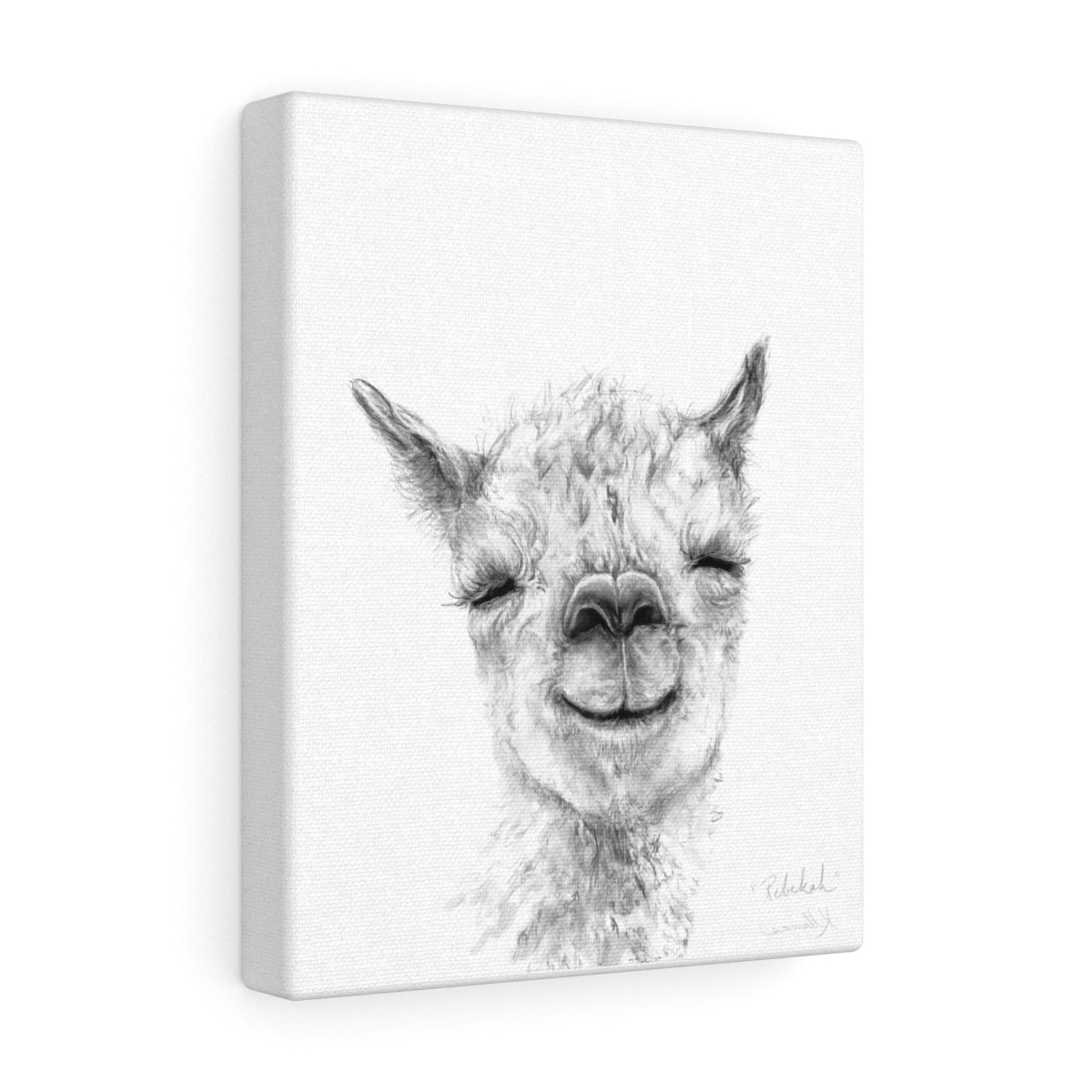 REBEKAH Llama - Art Canvas
