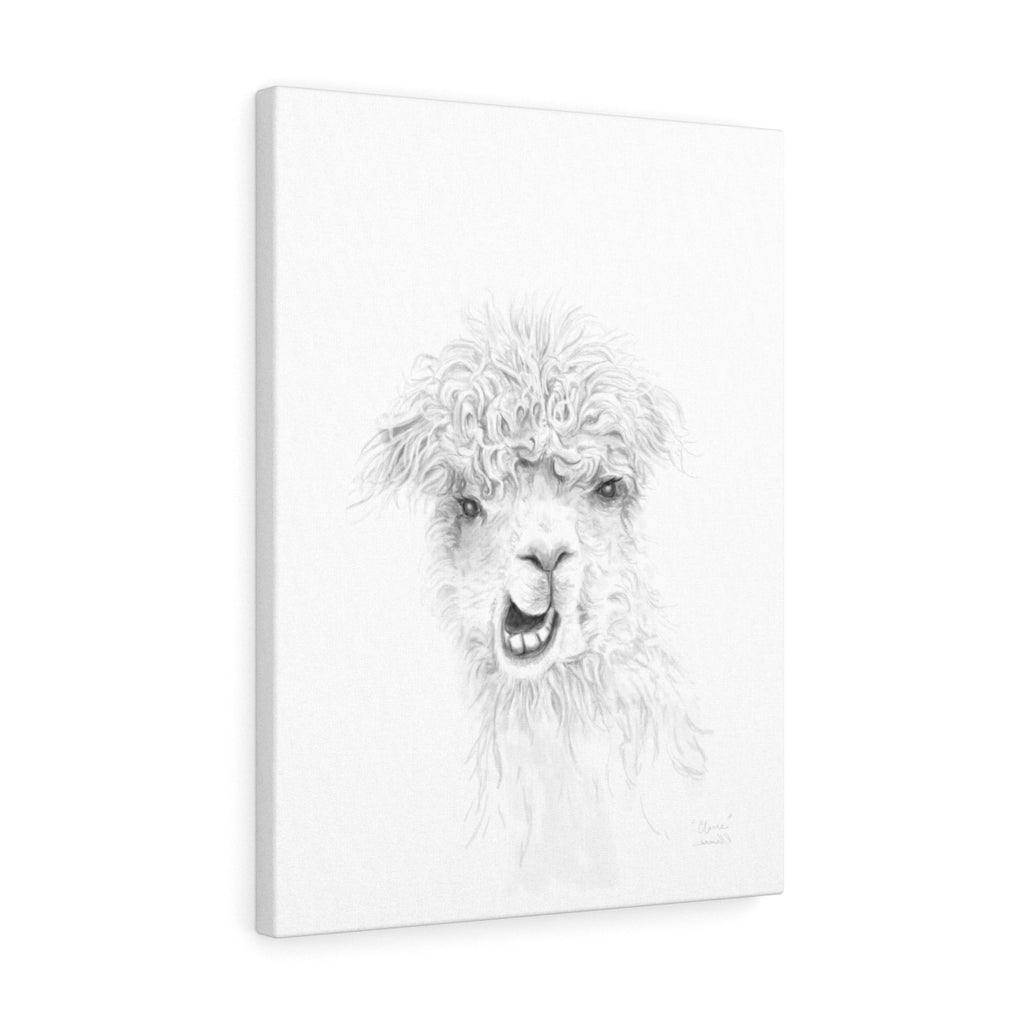 CLAIRE Llama - Art Canvas