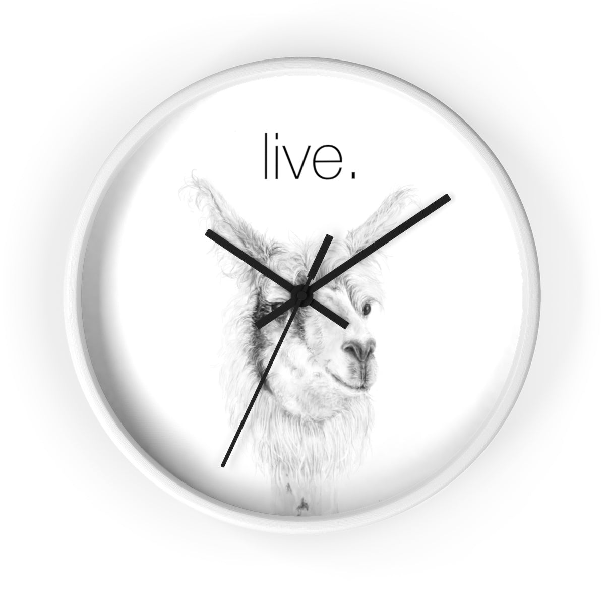 Llama LIVE Wall clock: ADAM