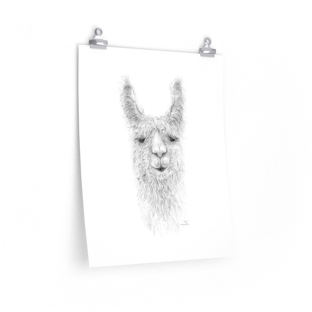 LEA Llama- Art Paper Print