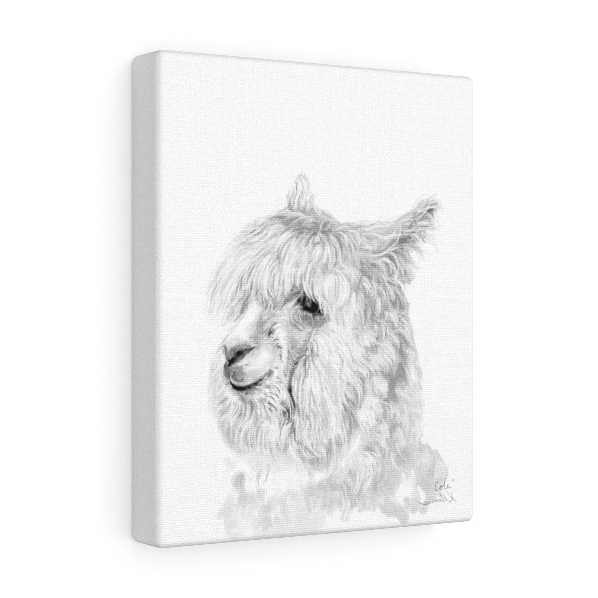 COLE Llama - Art Canvas