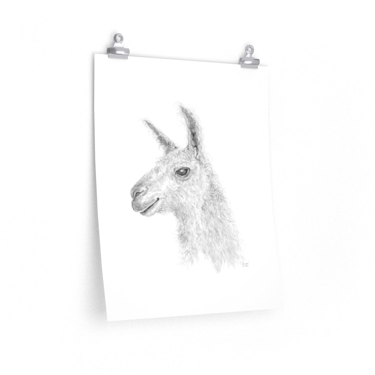 LENNOX Llama- Art Paper Print
