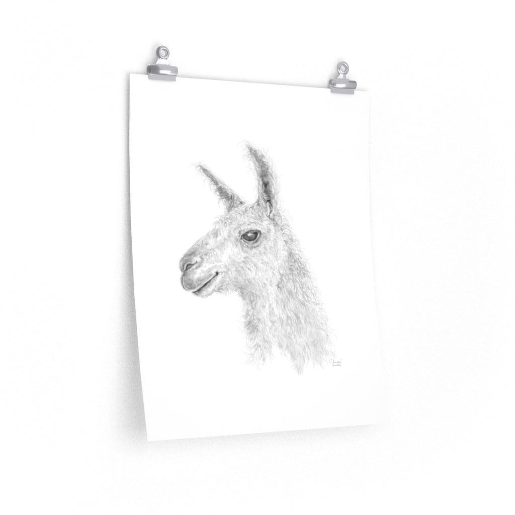 LENNOX Llama- Art Paper Print
