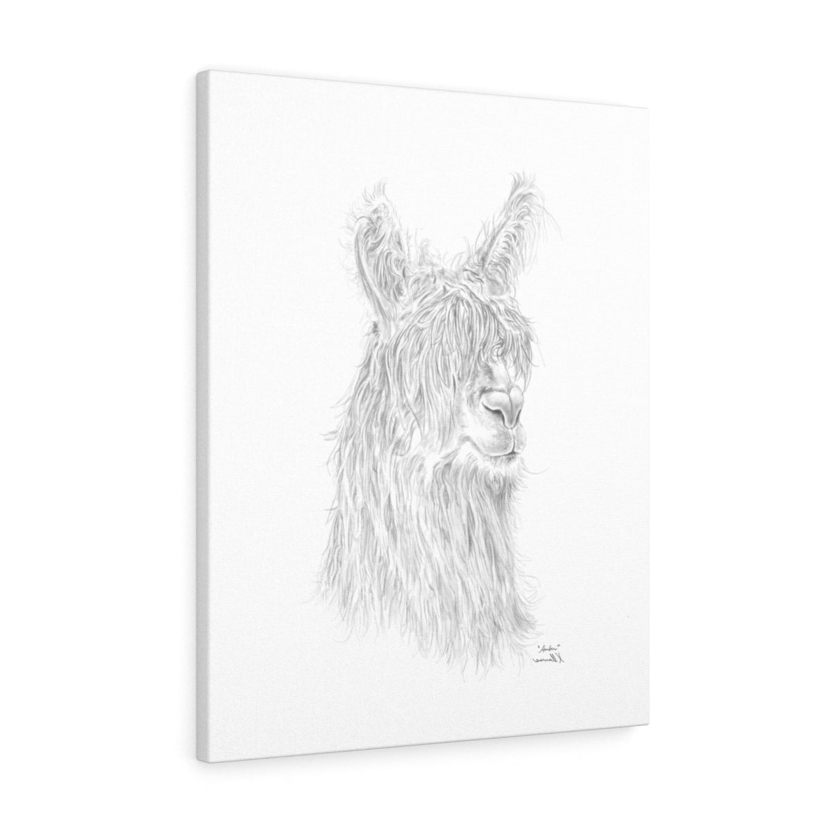 AMBER Llama - Art Canvas