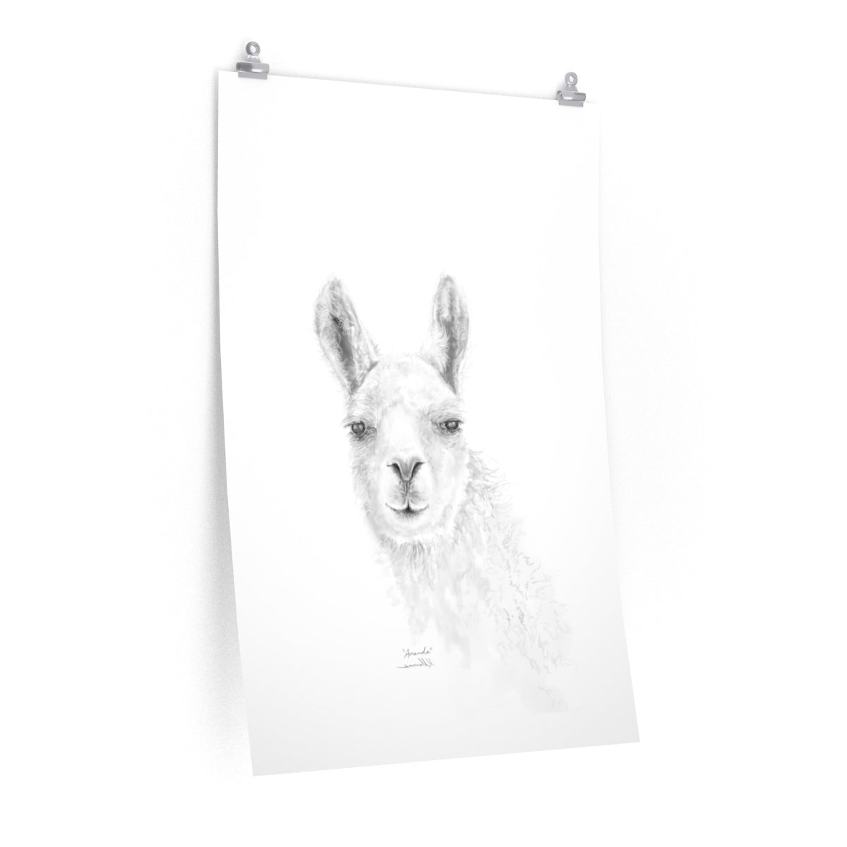 AMANDA Llama- Art Paper Print