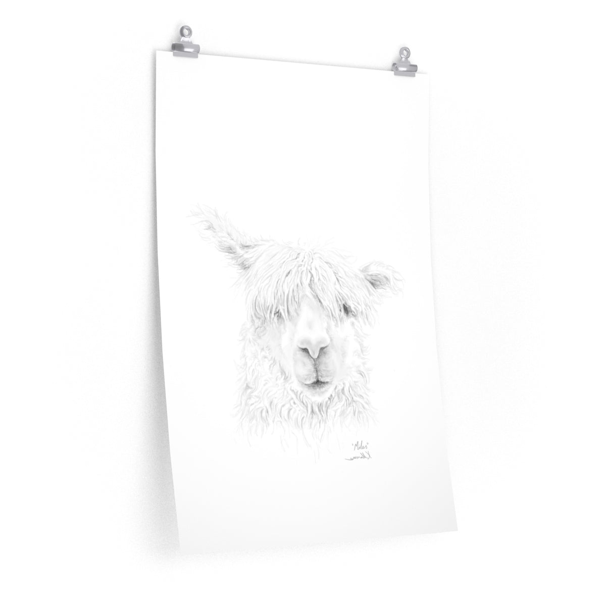 MILES Llama- Art Paper Print