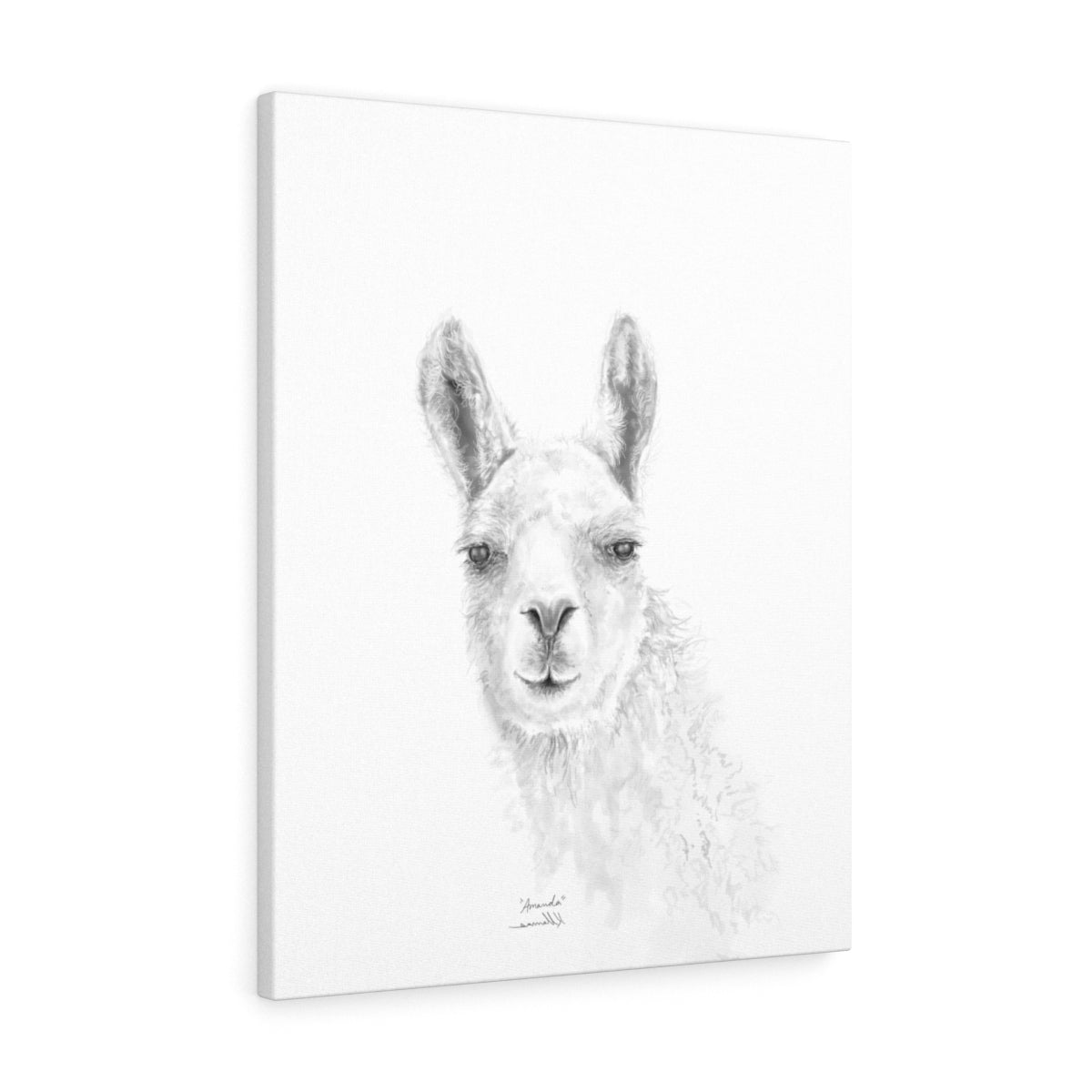 AMANDA Llama - Art Canvas