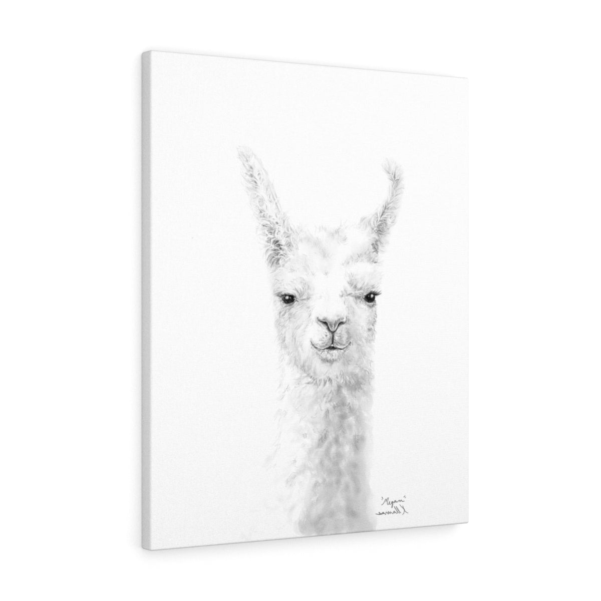 MEGAN Llama - Art Canvas