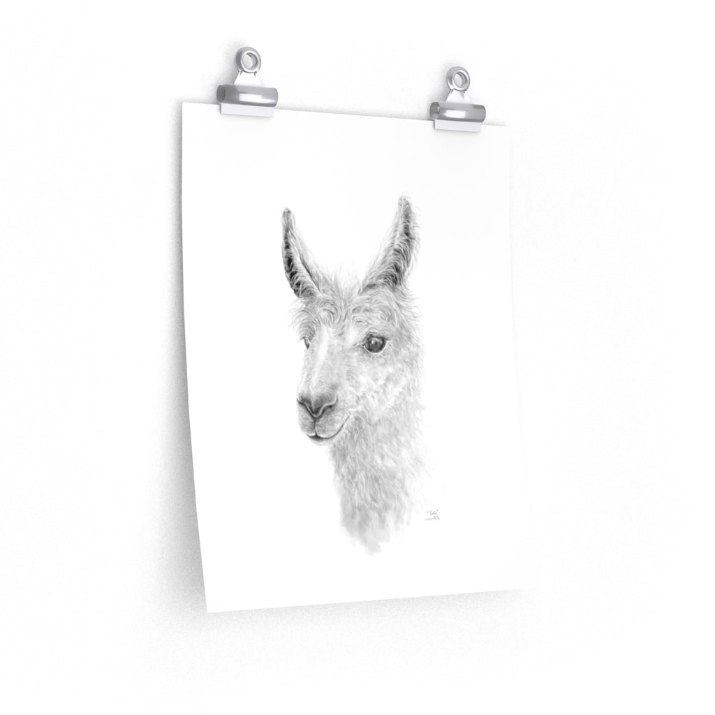 TEELE Llama- Art Paper Print