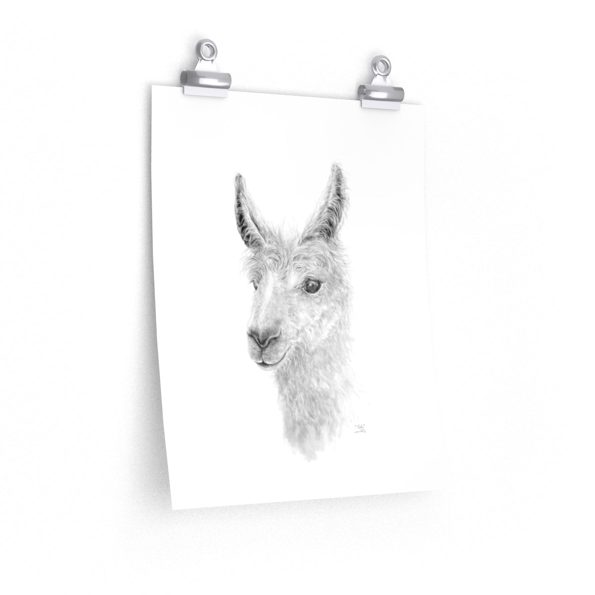 TEELE Llama- Art Paper Print