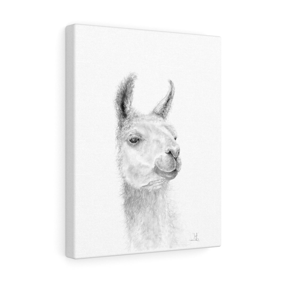 JEFF Llama - Art Canvas