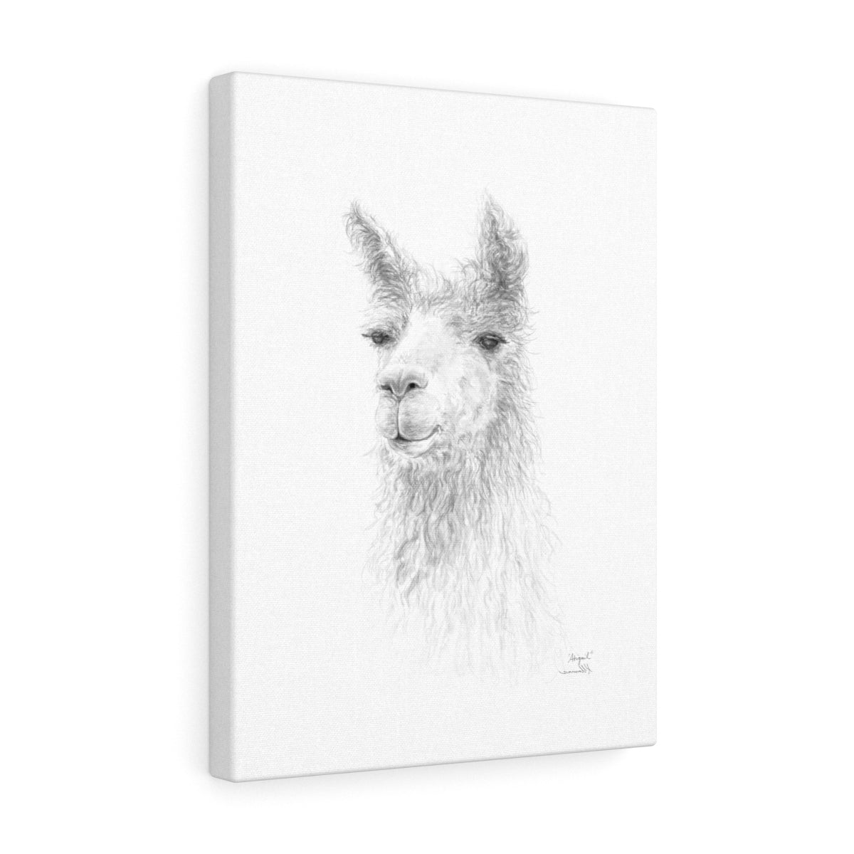 ABIGAIL Llama - Art Canvas
