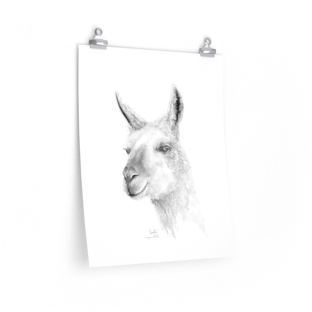 INDI Llama- Art Paper Print