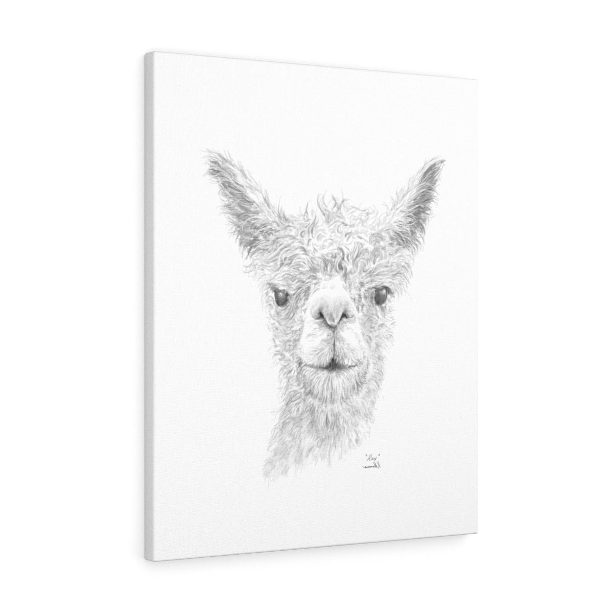 Alex Llama - Art Canvas