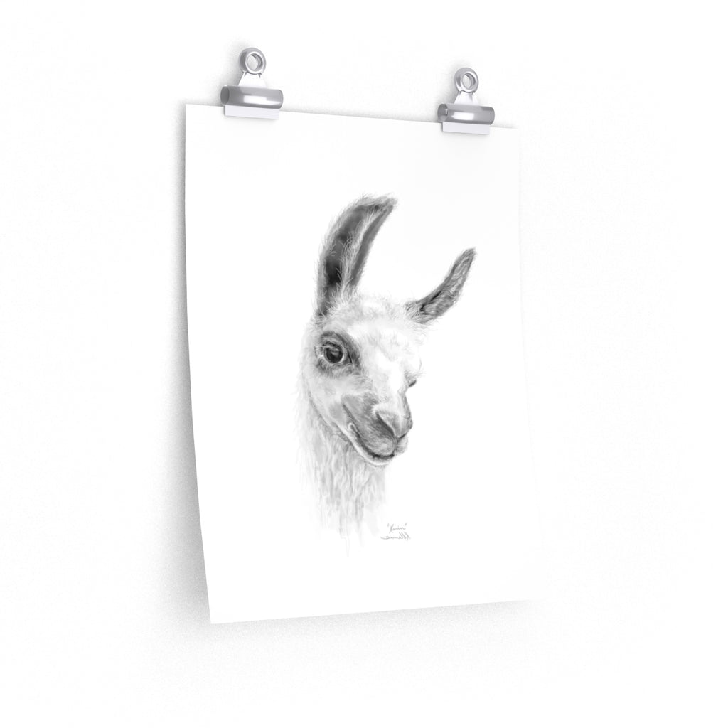 KARIN Llama- Art Paper Print