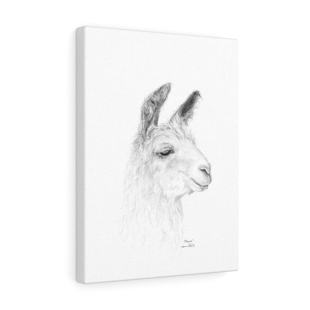 MARIA Llama - Art Canvas