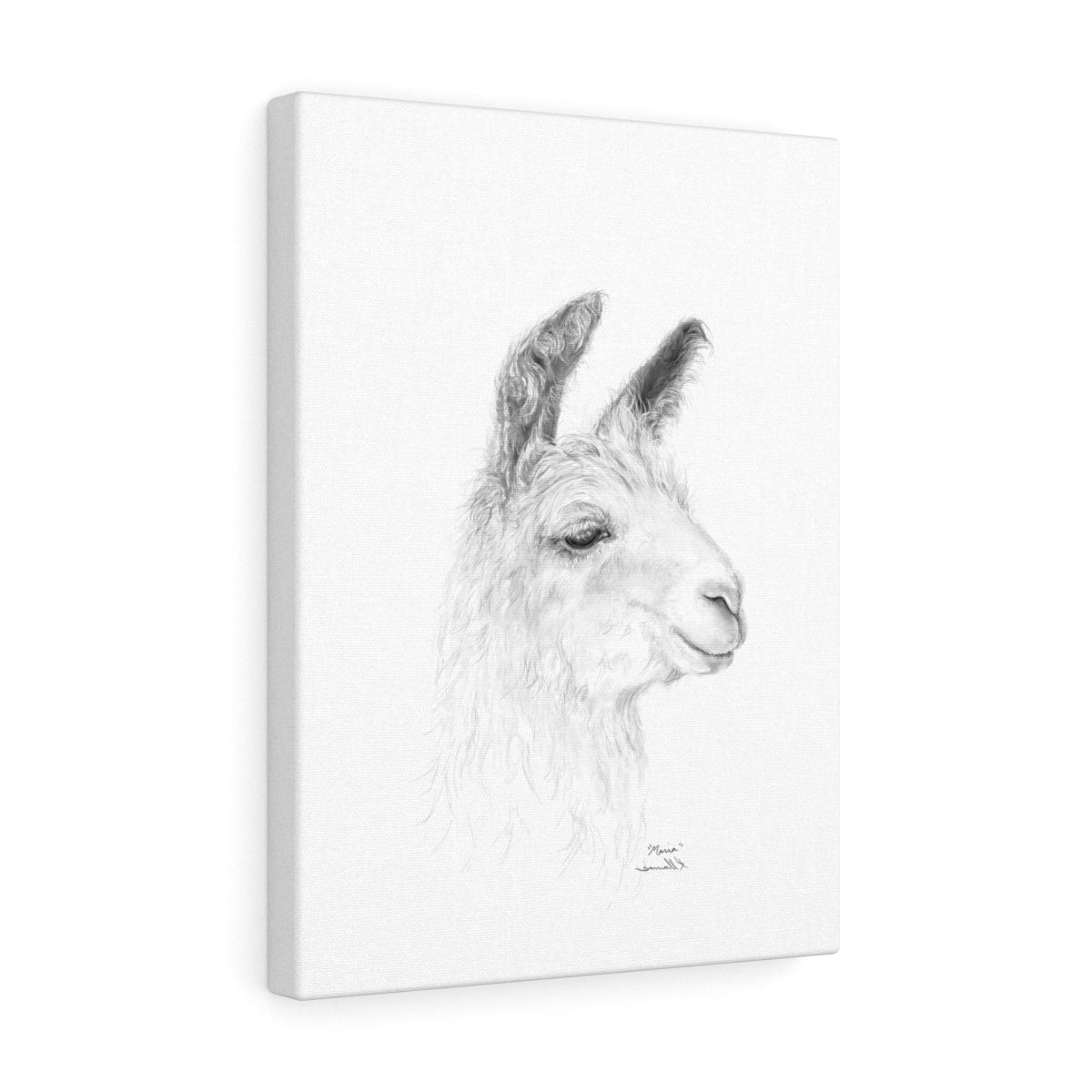MARIA Llama - Art Canvas
