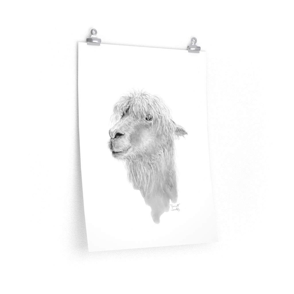 JARRETT Llama- Art Paper Print