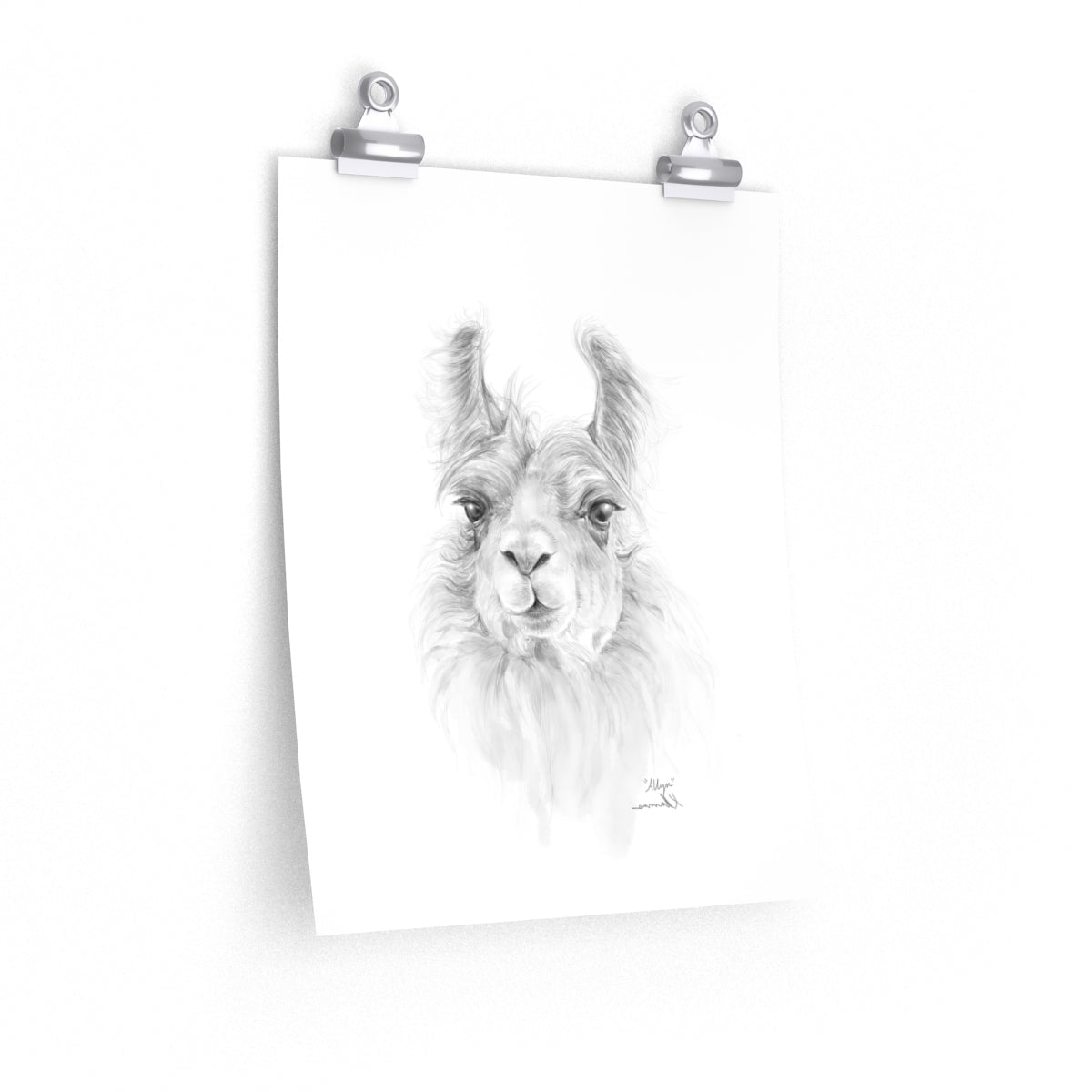 ALLYN Llama- Art Paper Print
