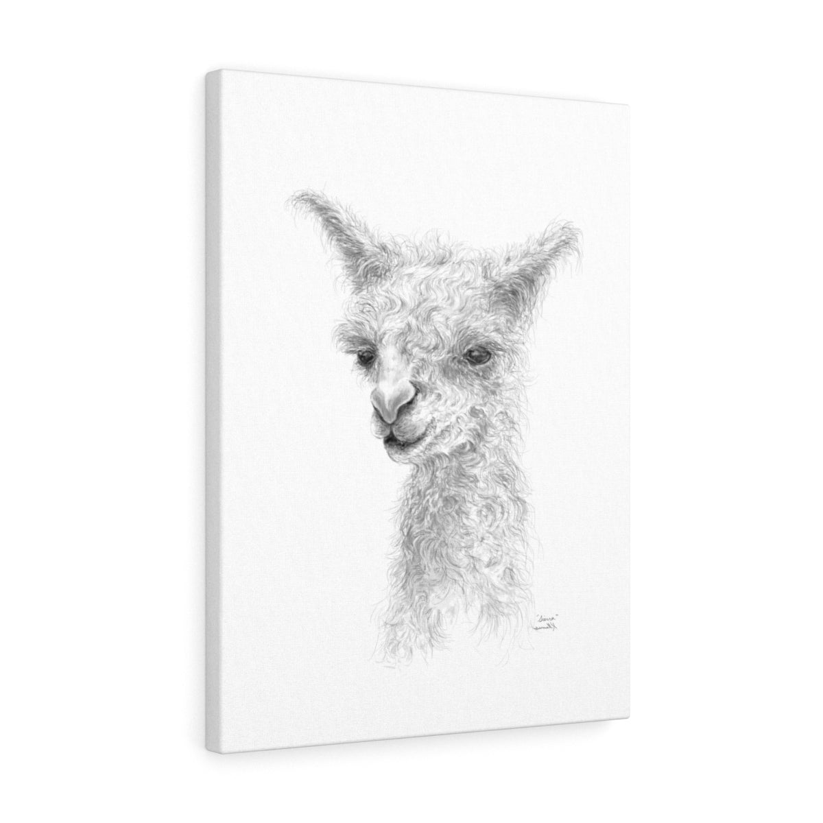 SIERRA Llama - Art Canvas