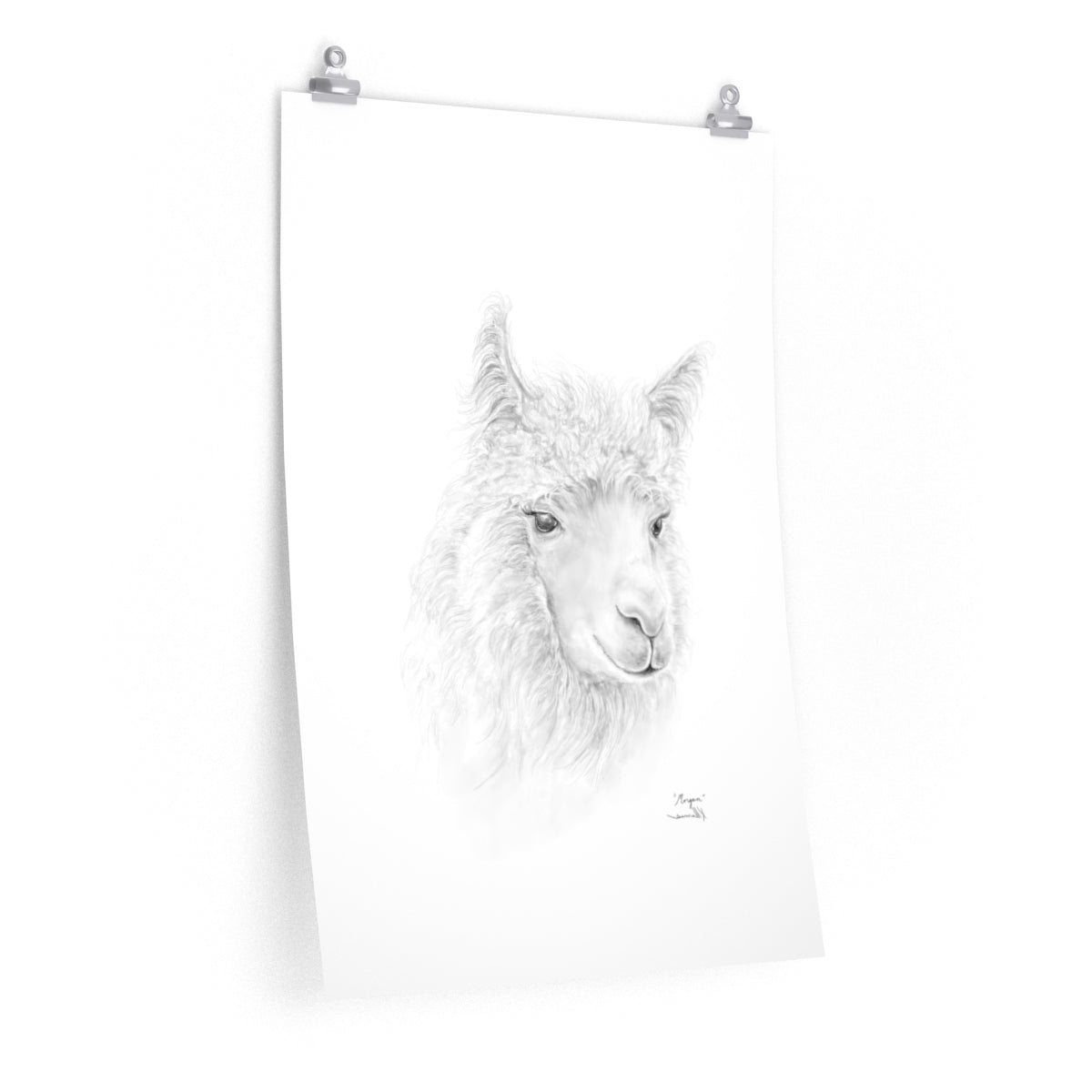 MORGAN Llama- Art Paper Print