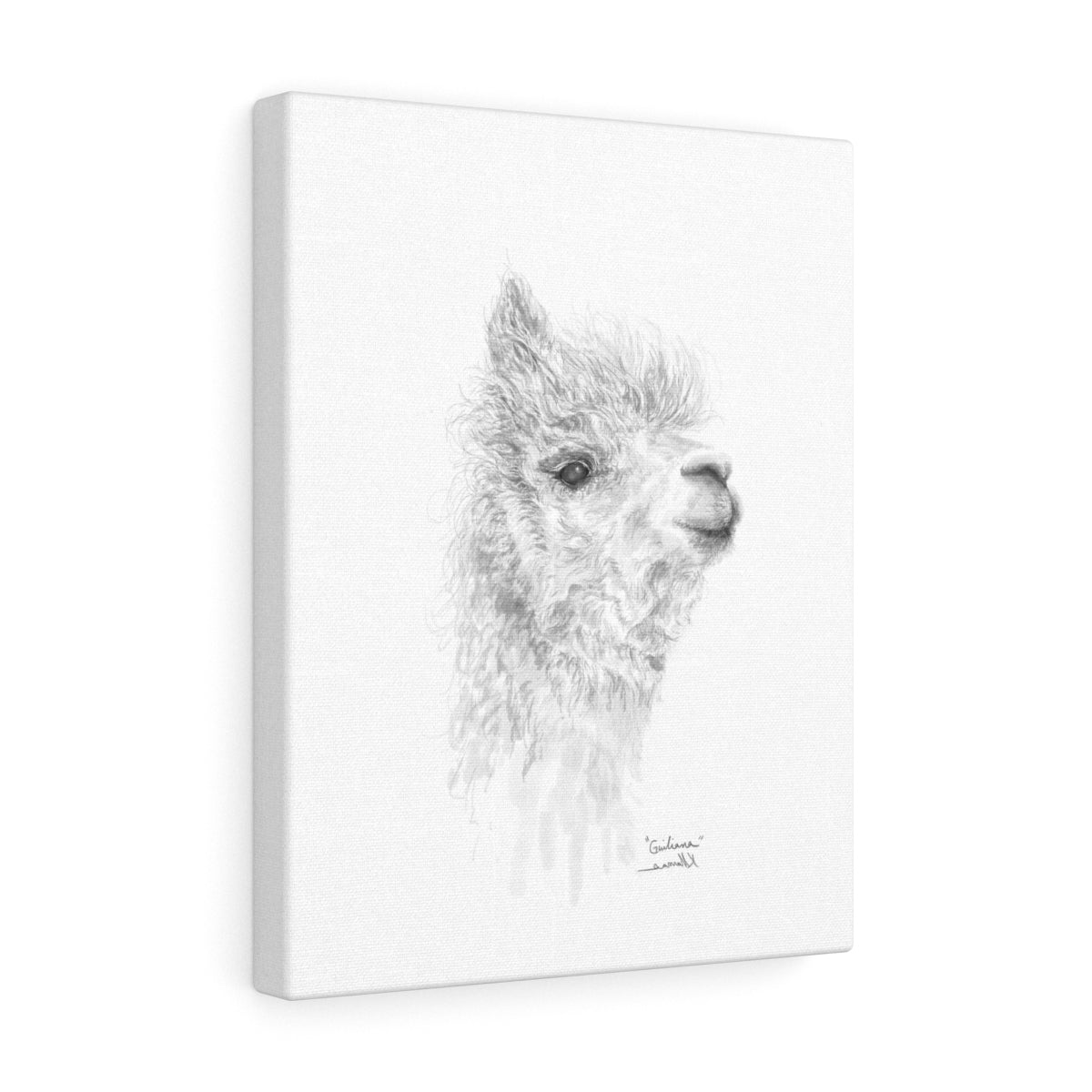 GIULIANA Llama - Art Canvas