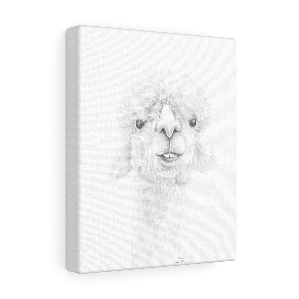 PEARL Llama - Art Canvas