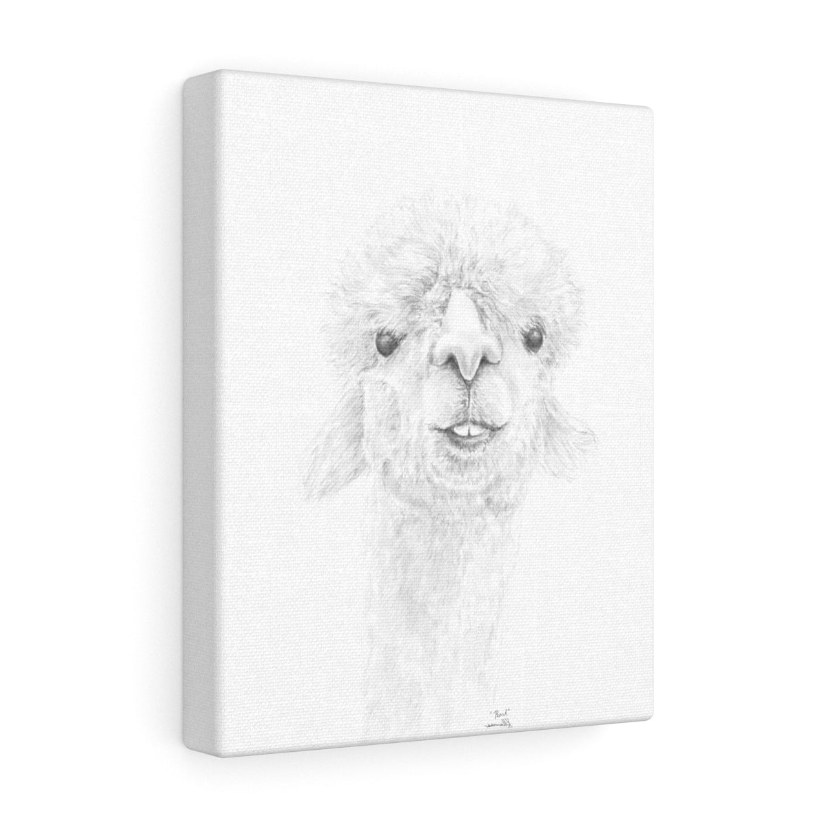 PEARL Llama - Art Canvas