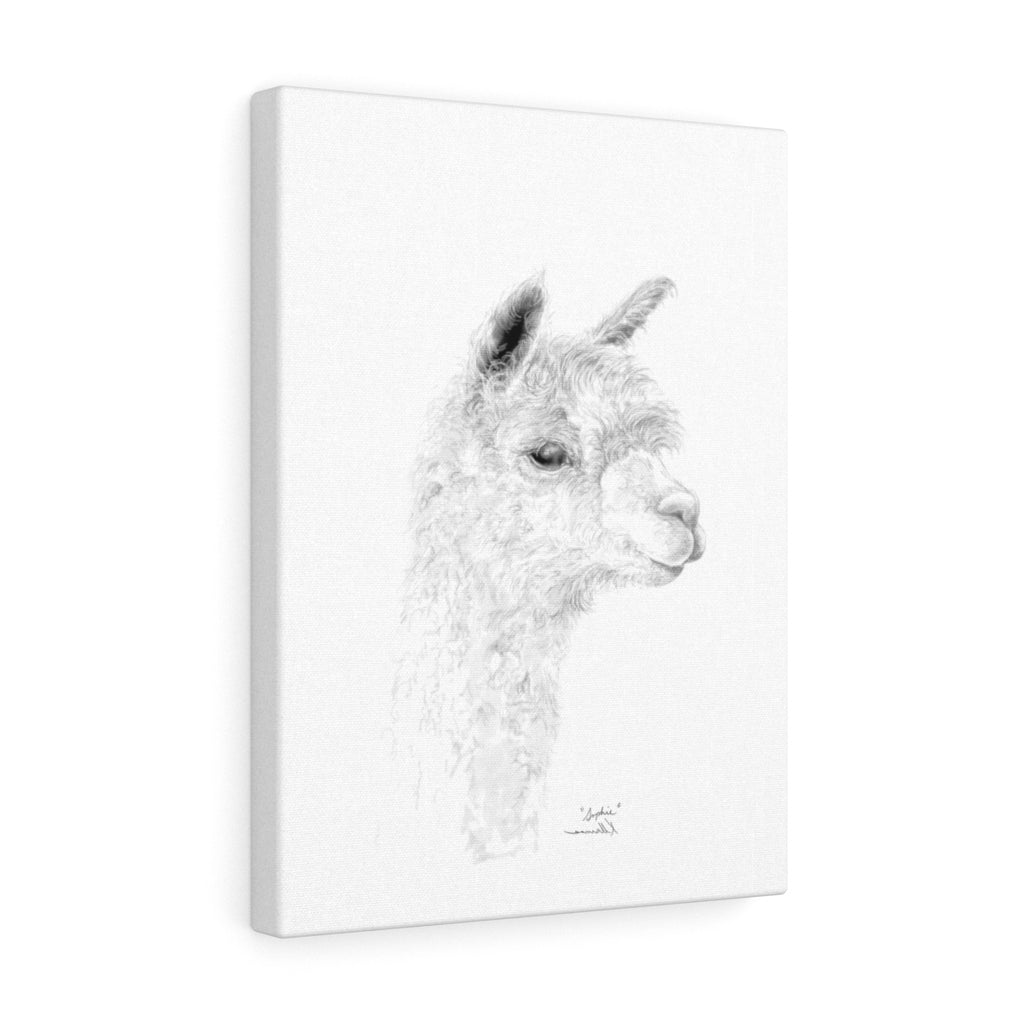 SOPHIE llama- Art Canvas