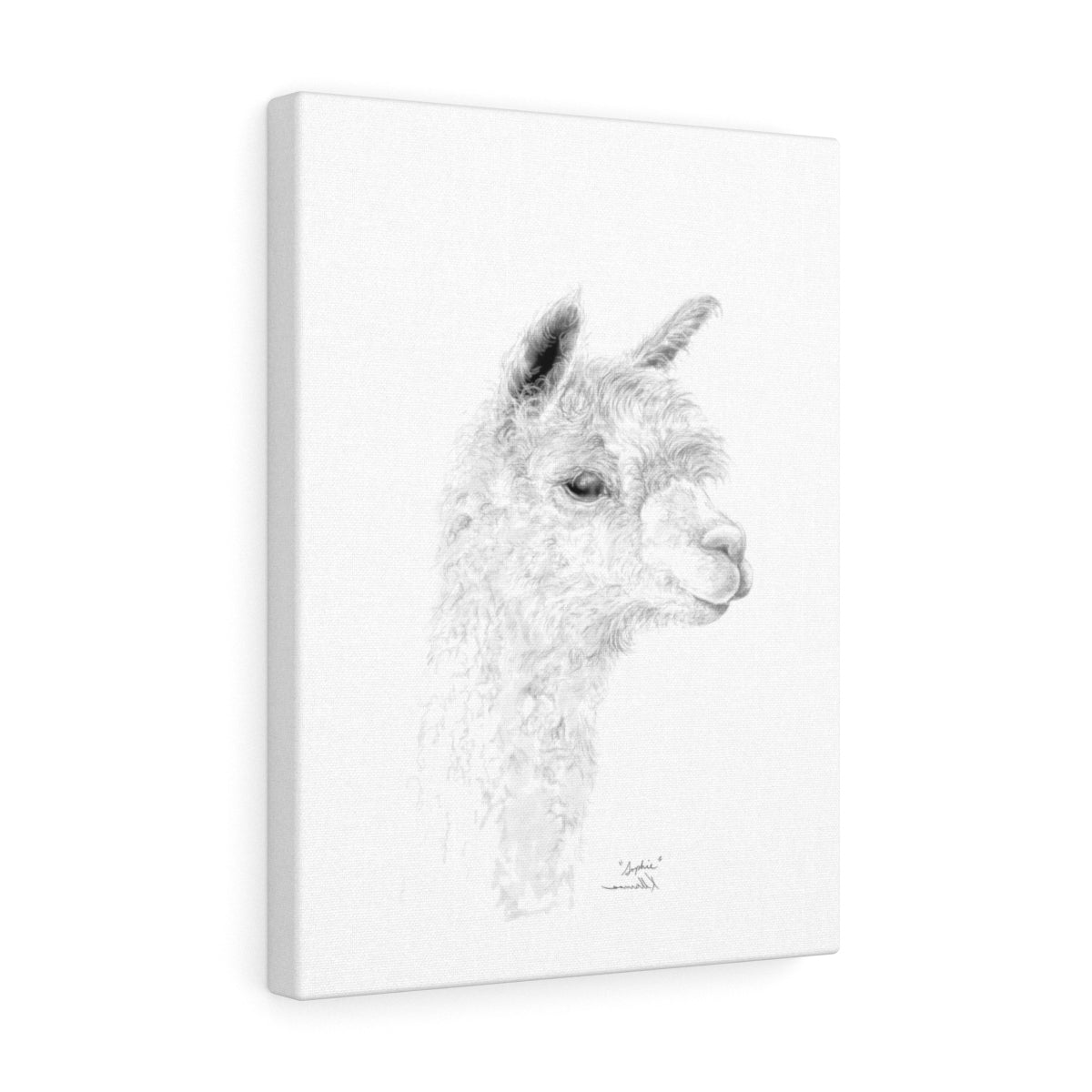 SOPHIE llama- Art Canvas