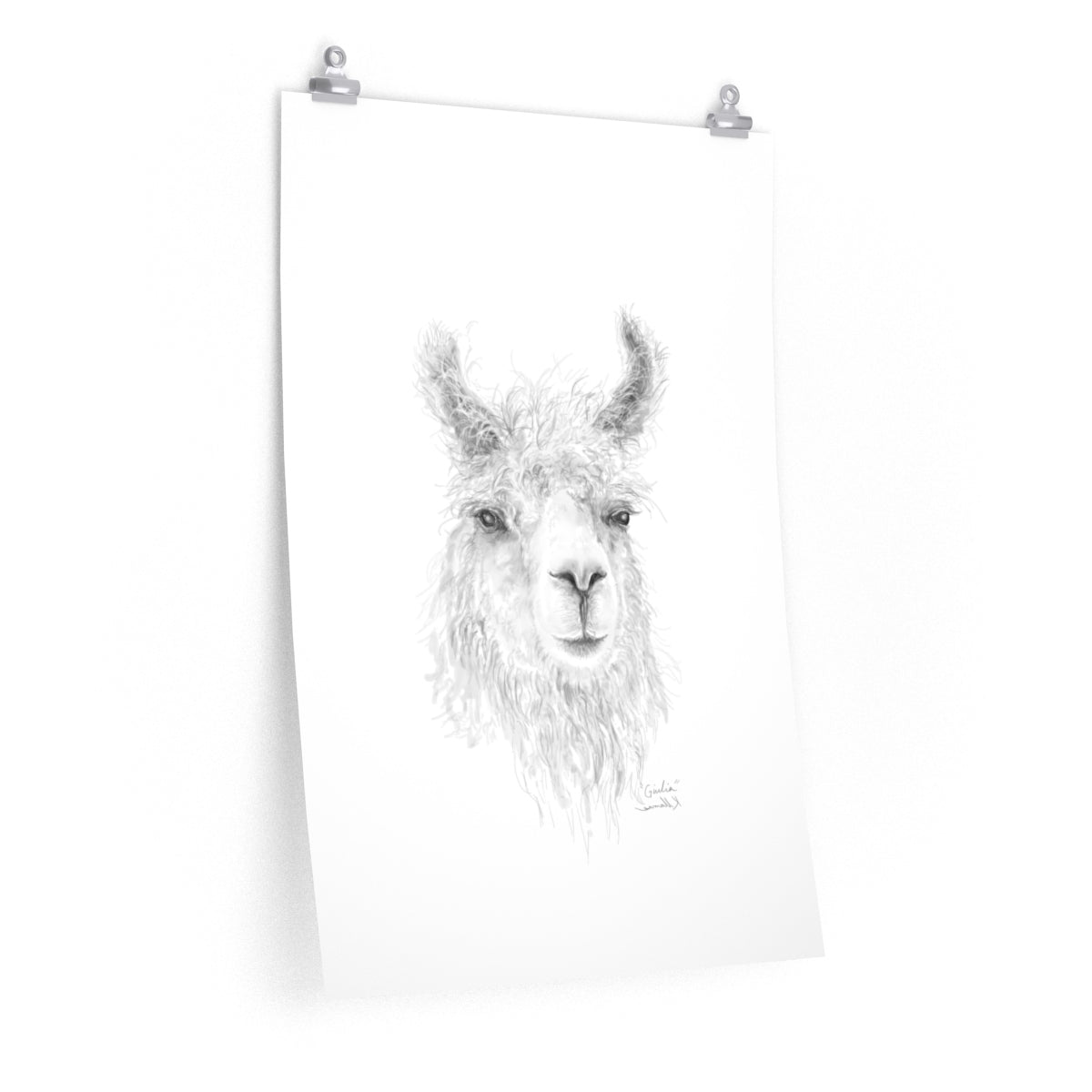 GIULIA Llama- Art Paper Print