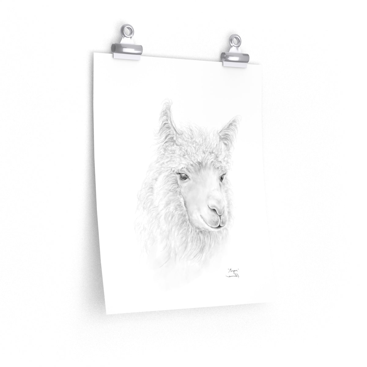 MORGAN Llama- Art Paper Print