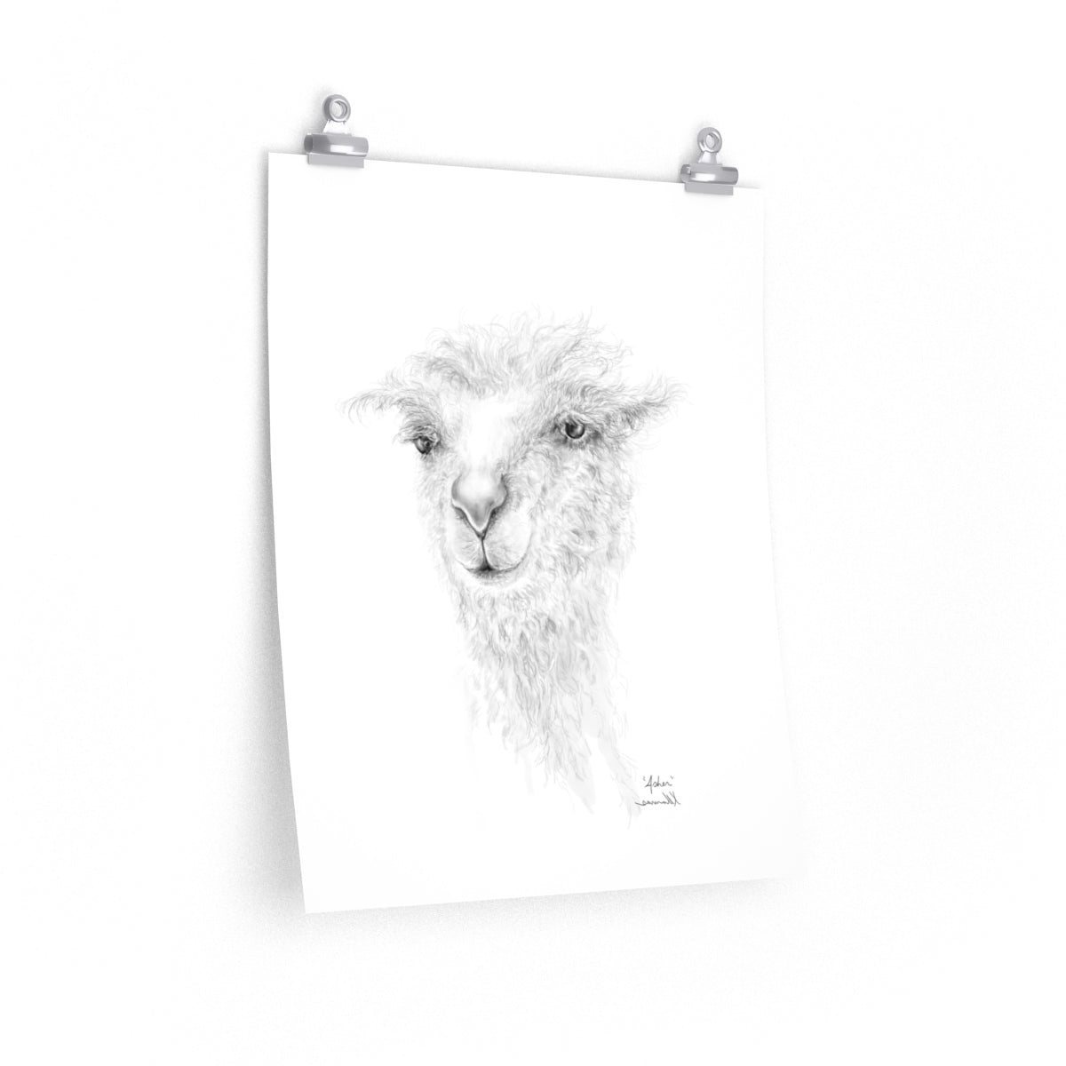 ASHER Llama- Art Paper Print