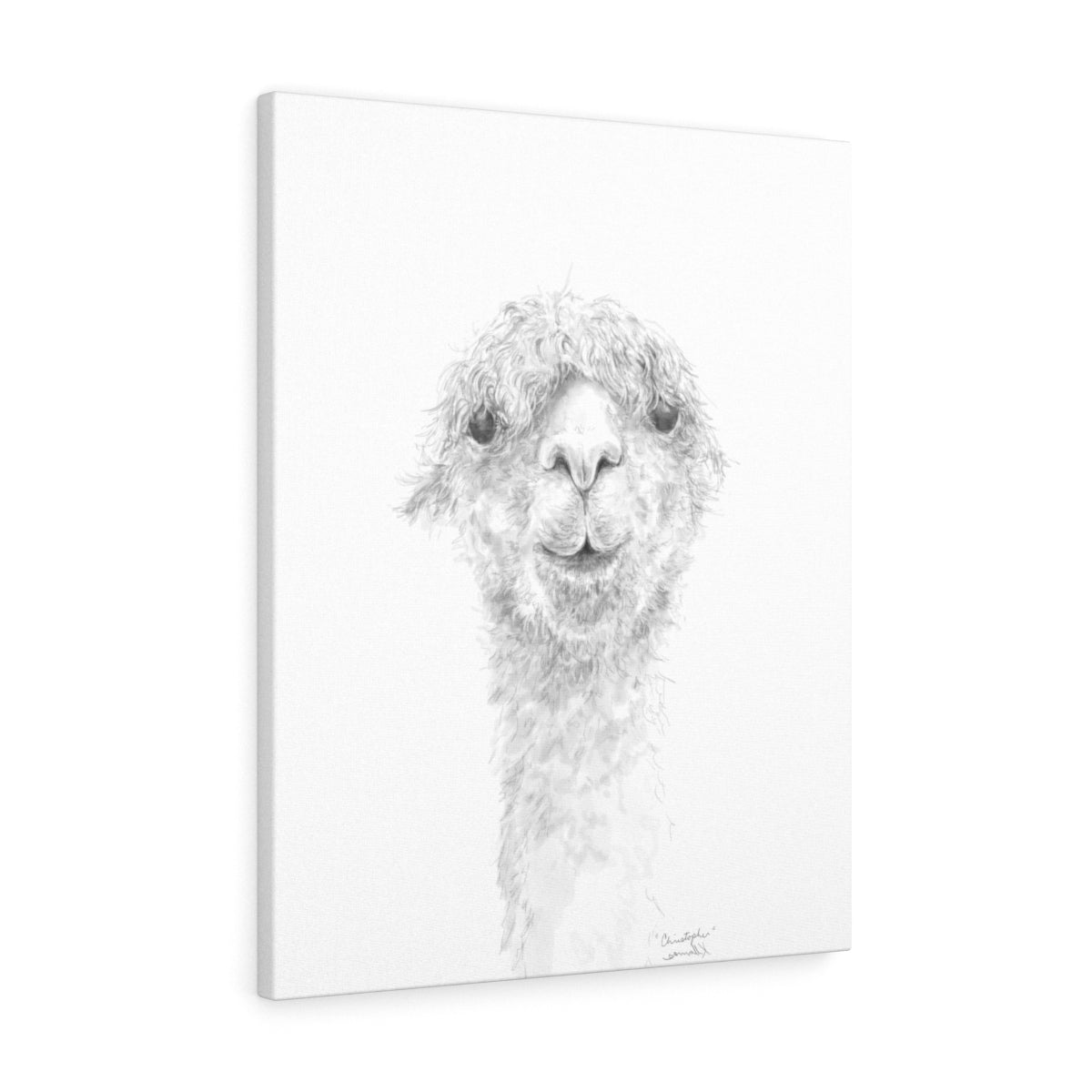 CHRISTOPHER Llama - Art Canvas