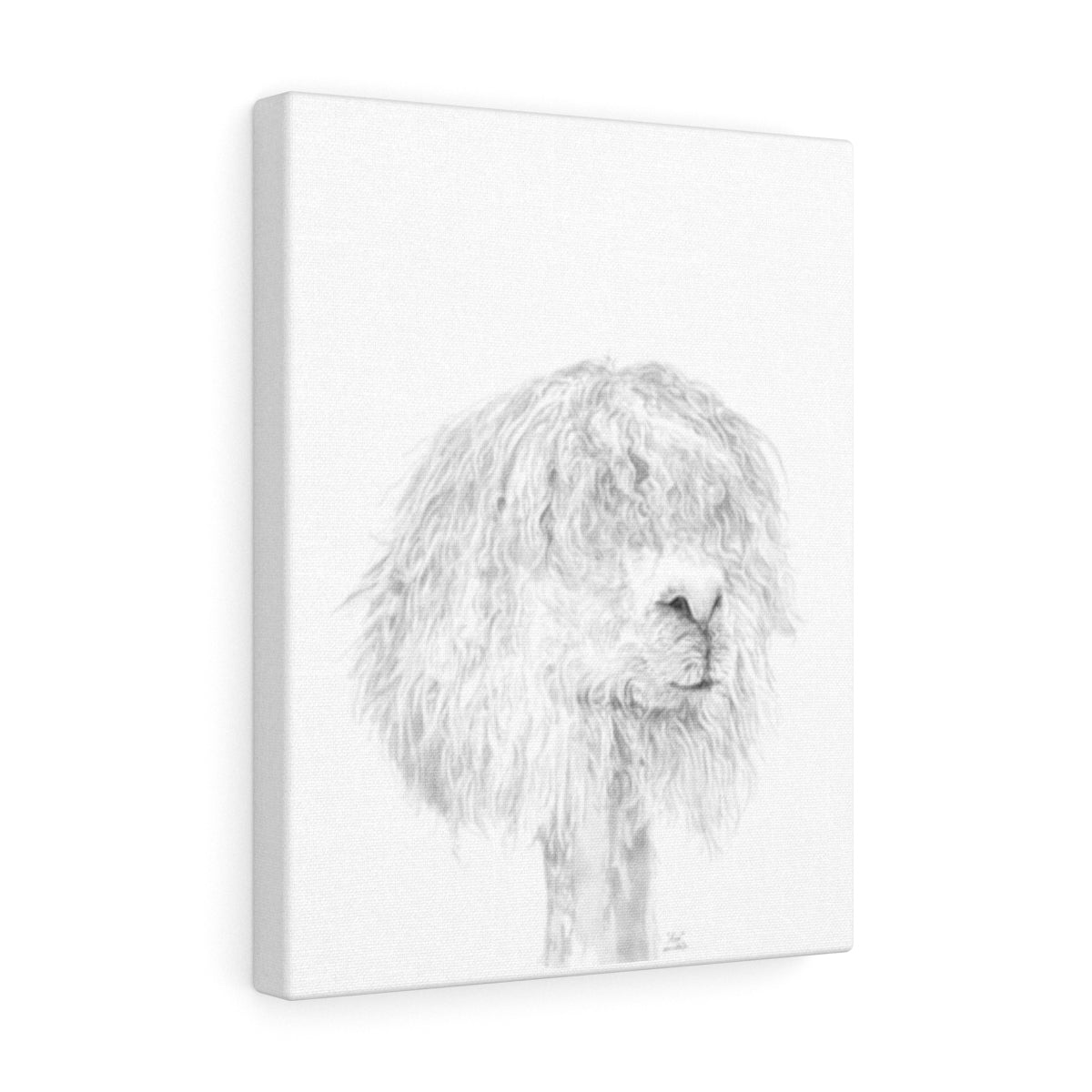 ASA Llama - Art Canvas