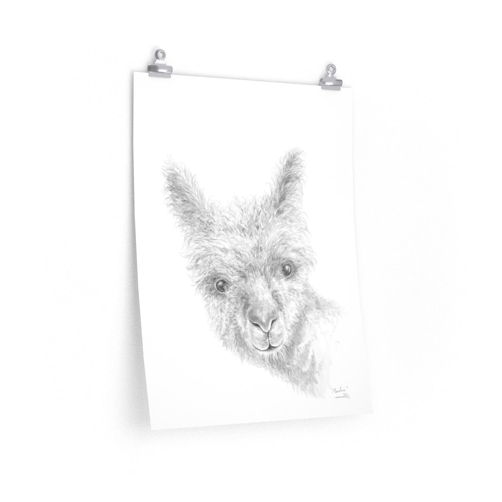 MEADOW Llama- Art Paper Print