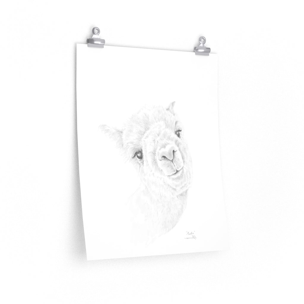 MARTHA Llama- Art Paper Print