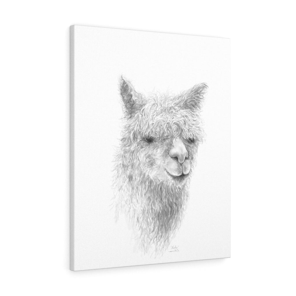 Nadia Llama - Art Canvas