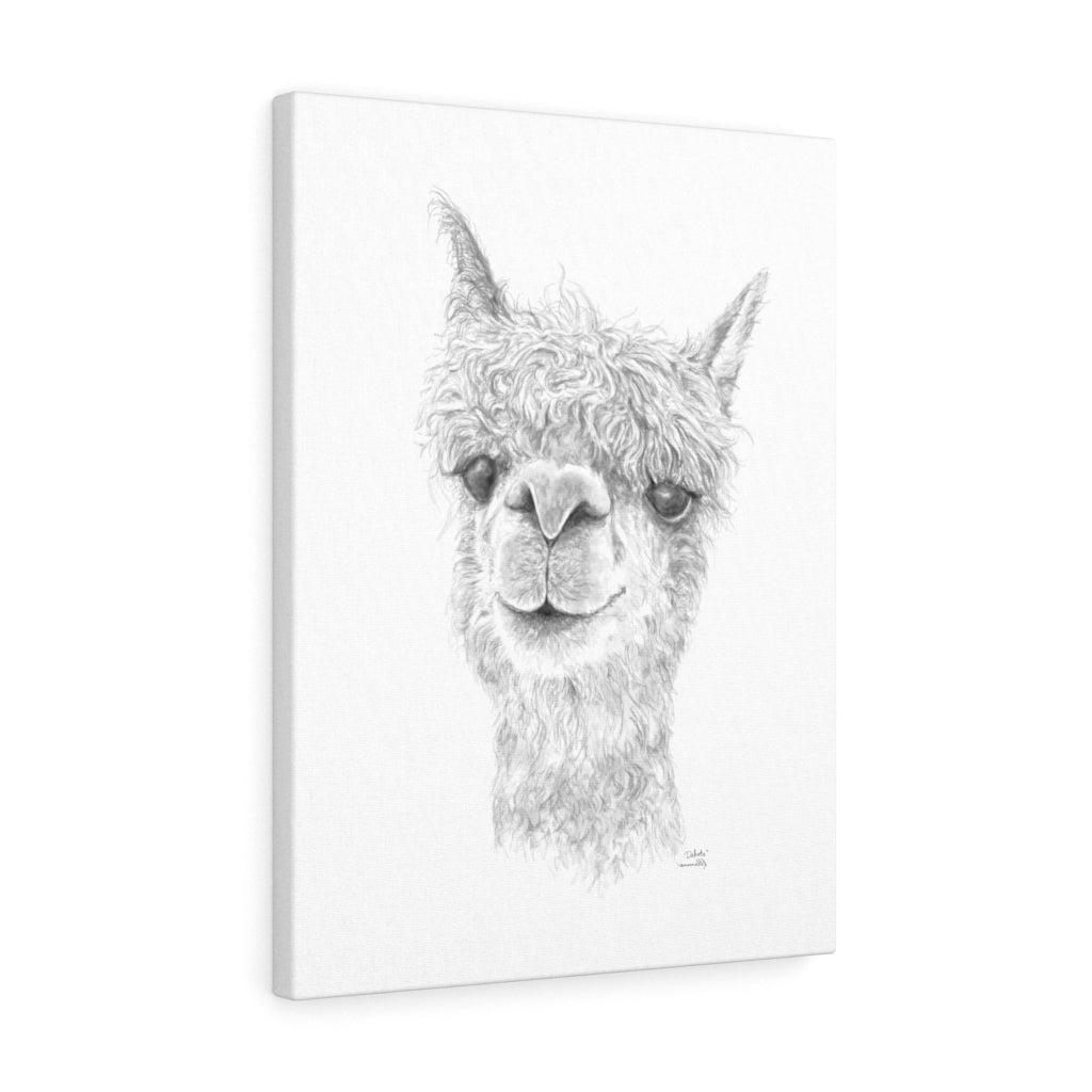 DAKOTA Llama - Art Canvas