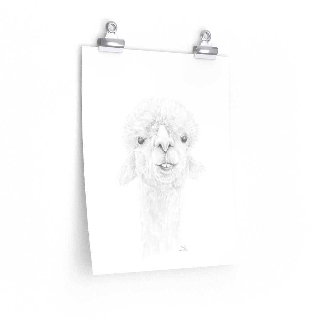 PEARL Llama- Art Paper Print