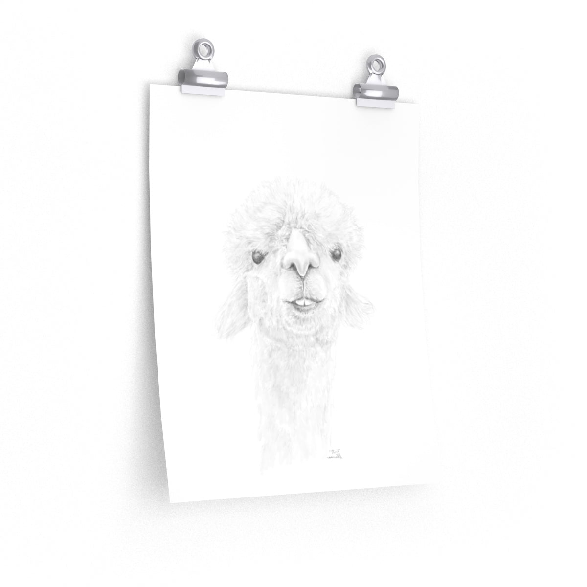 PEARL Llama- Art Paper Print