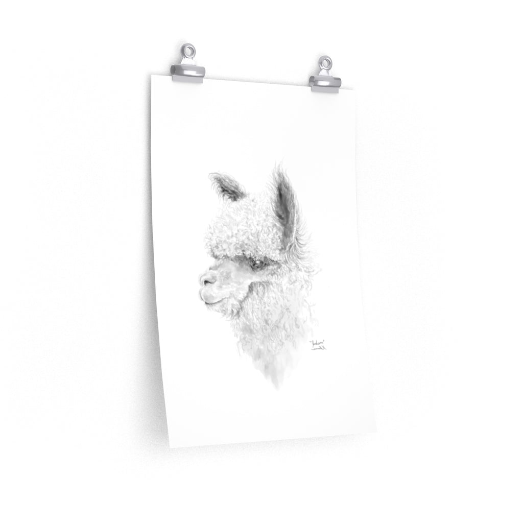 JACKSON Llama- Art Paper Print